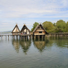 IMG_5659.JPG