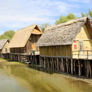IMG_5660.JPG