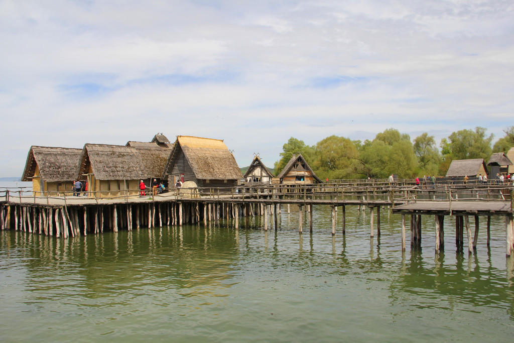 IMG_5672.JPG