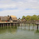 IMG_5672.JPG