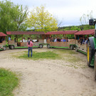 IMG_5704.JPG