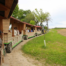 IMG_5708.JPG