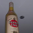304864.jpg