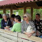IMG_5729.JPG