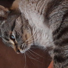 20170121_083145.jpg