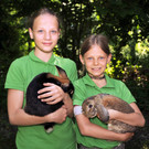 Tierlefest am Alten Rhein
