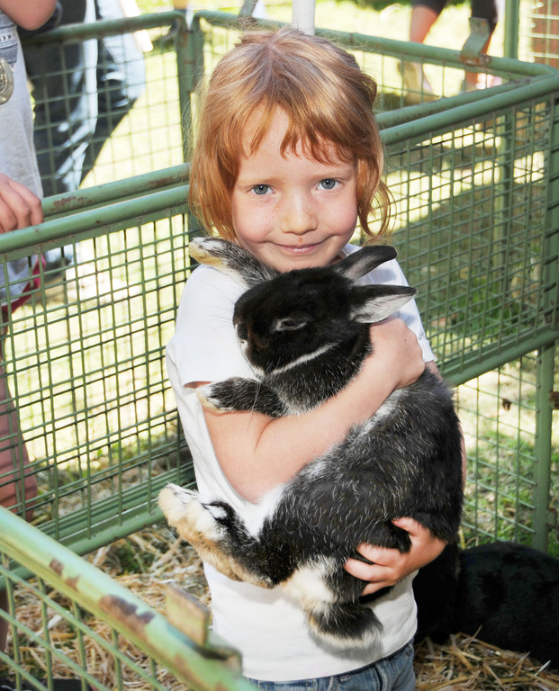 Tierlefest Ho__chst 27-05-17 14.jpg