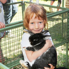 Tierlefest Ho__chst 27-05-17 14.jpg