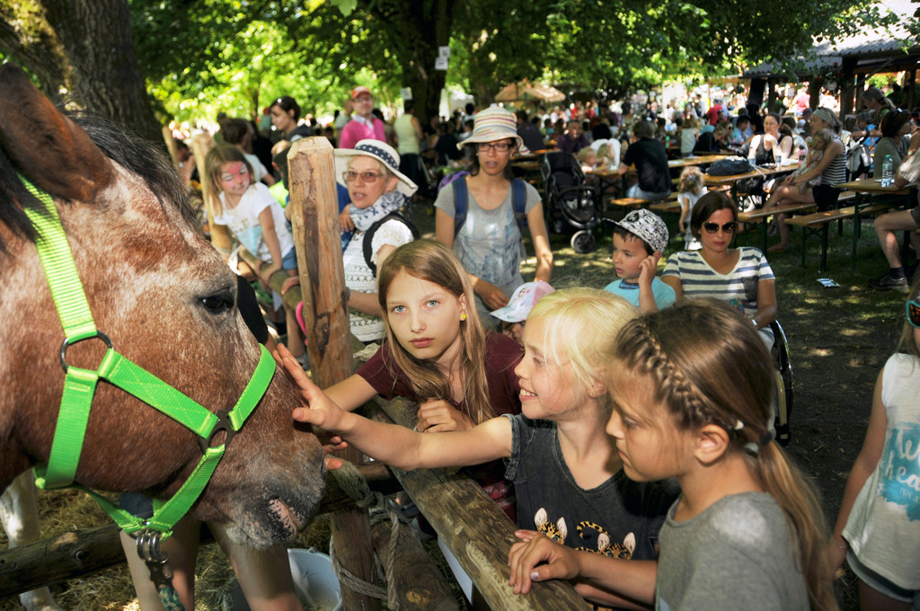 Tierlefest Ho__chst 27-05-17 42.jpg