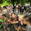 Tierlefest Ho__chst 27-05-17 42.jpg