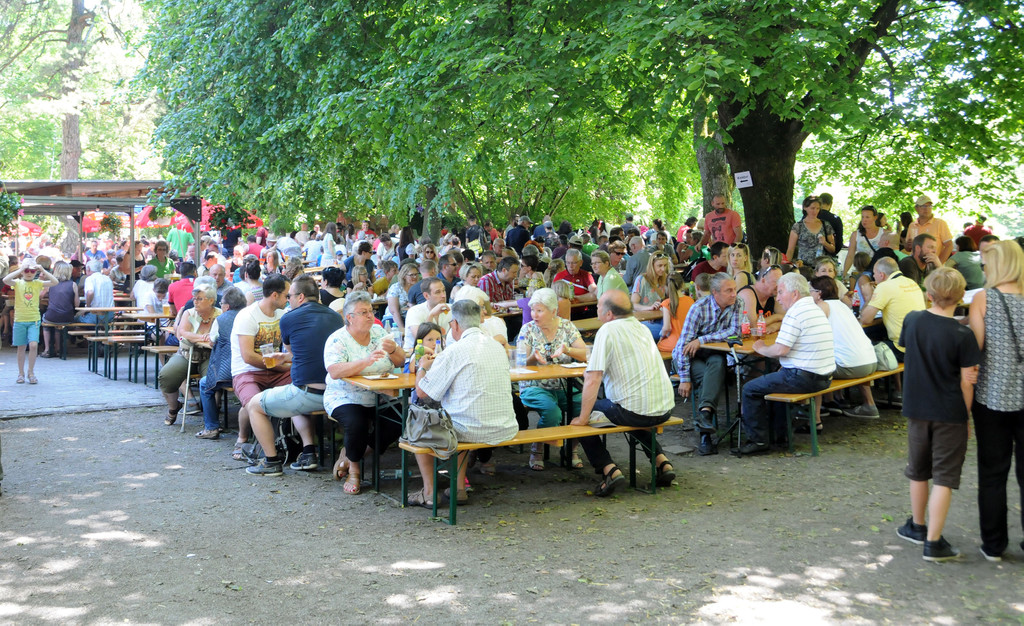 Tierlefest Ho__chst 27-05-17 Schattenpla__tze 58.jpg