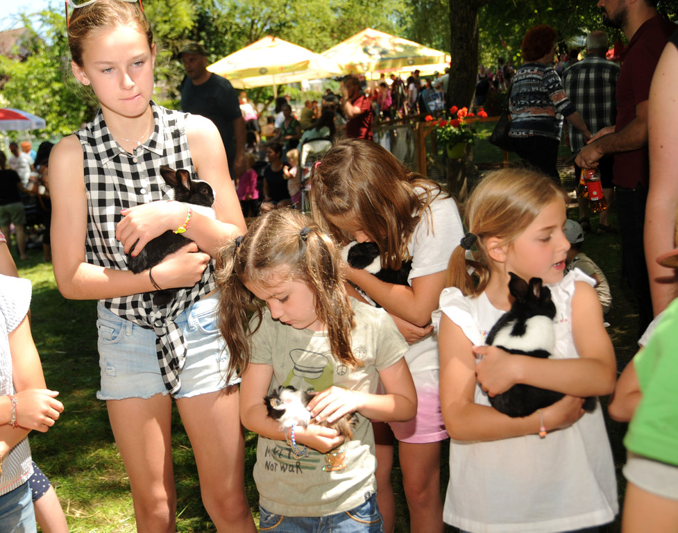 Tierlefest Ho__chst 27-05-17 Streichelzoo 73.jpg
