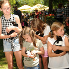 Tierlefest Ho__chst 27-05-17 Streichelzoo 73.jpg