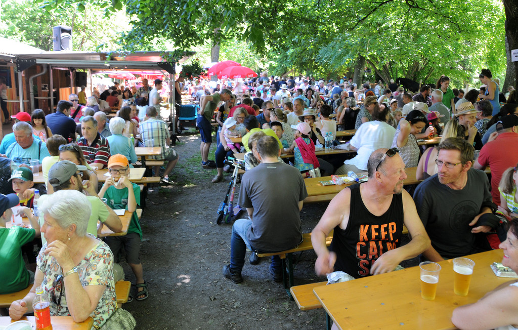Tierlefest Ho__chst Schattenpla__tze 27-05-17 3.jpg