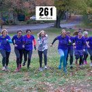 file6uheefzf2o65q1tyan8.jpg