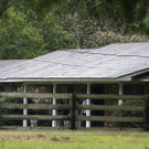 Mississippi_Shooting_54575.jpg