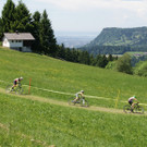 DSC00184.JPG