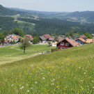 DSC00241.JPG