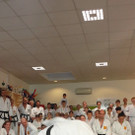 Fulminantes Taekwon-Do Spektakel 