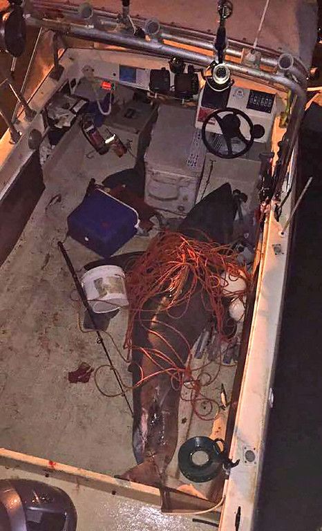 AFP_P186Q.jpg