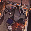 AFP_P186Q.jpg
