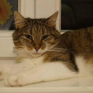 uschi1.jpg