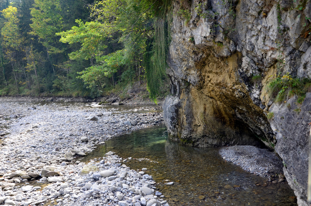 zwischenwasser 0910_2.JPG