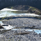 fw 080417_99.JPG