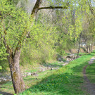 zw 060417_9.JPG