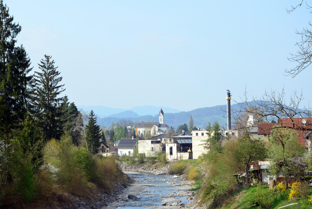 zw 060417_10.JPG