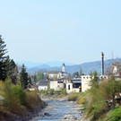 zw 060417_10.JPG
