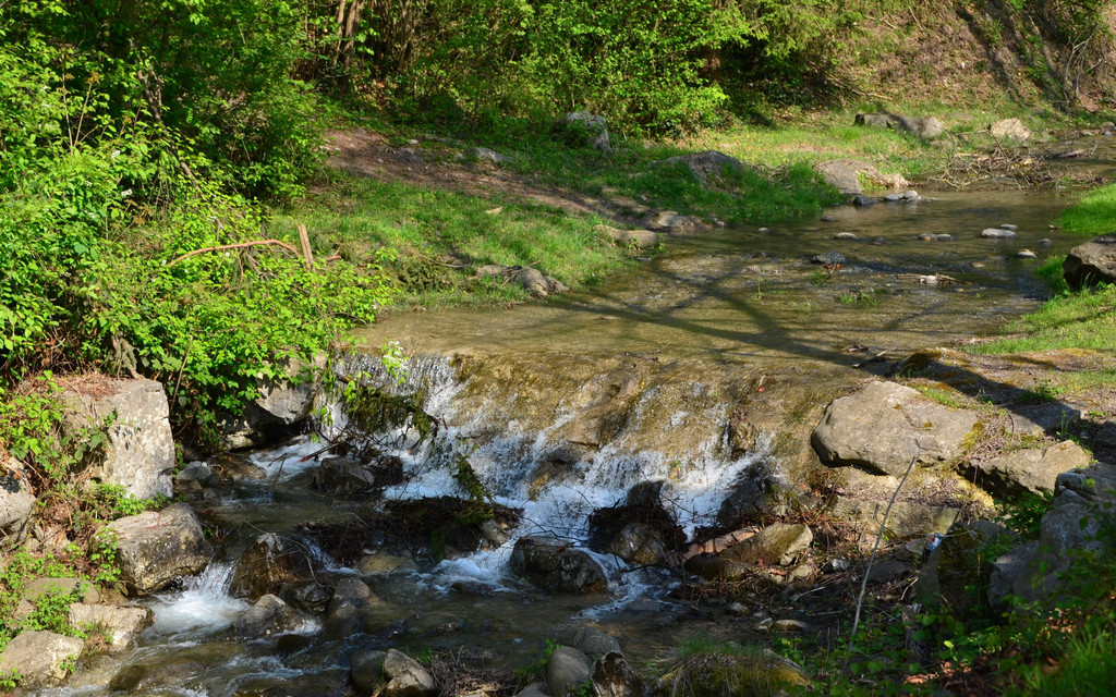 Triftanlage 140417_5.JPG