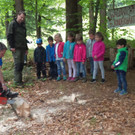 Wir haben neue Tische und Stühle an unserem Waldplatz