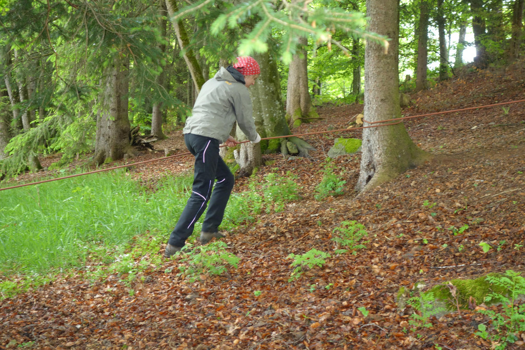Waldtag - Besuch von Lukas K__hlechner 24_5 _46_.JPG