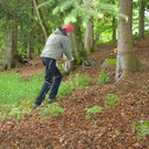 Waldtag - Besuch von Lukas K__hlechner 24_5 _46_.JPG