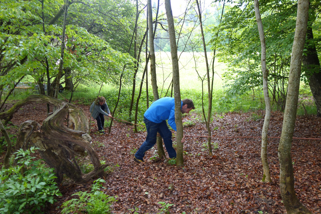 Waldtag - Besuch von Lukas K__hlechner 24_5 _49_.JPG