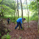 Waldtag - Besuch von Lukas K__hlechner 24_5 _49_.JPG