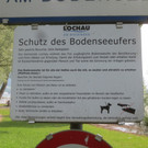 Abfall Schwarzbad Symbolfoto Mai 2017 _19_.jpg