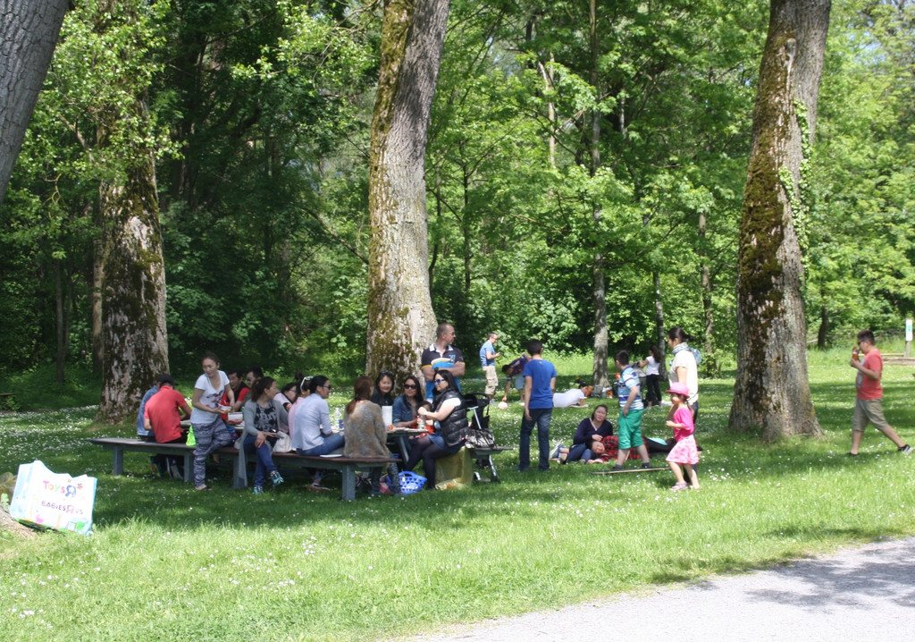 Abfall Schwarzbad Symbolfoto Mai 2017 _13_.JPG