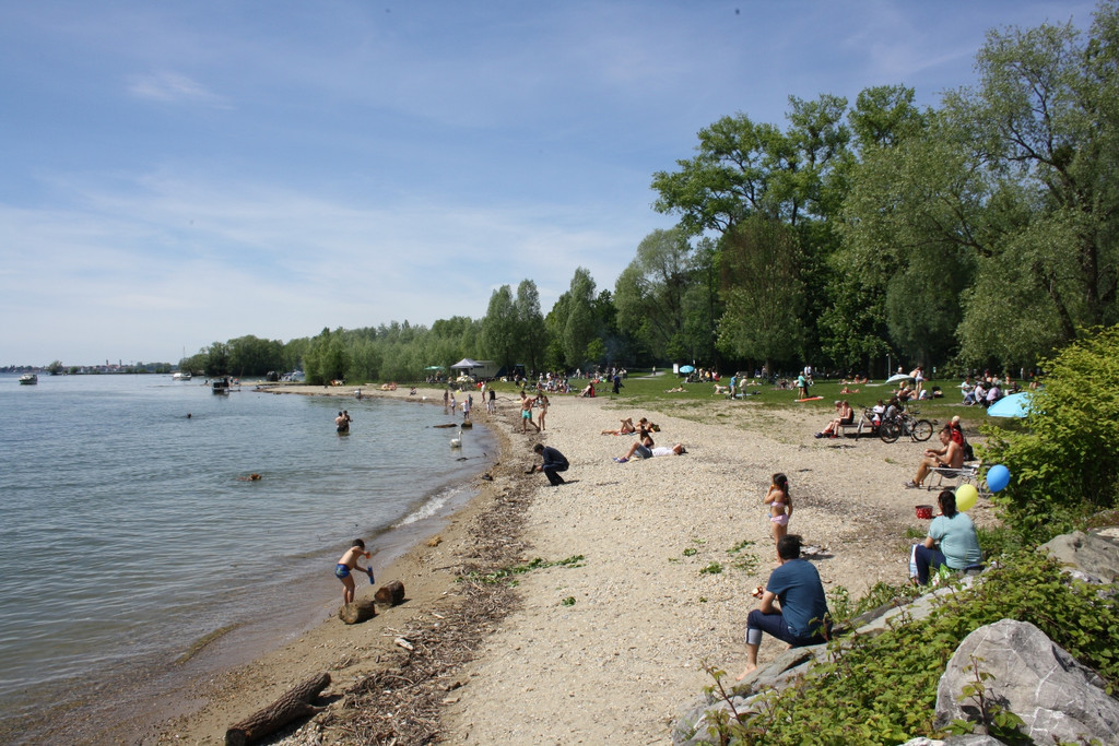 Abfall Schwarzbad Symbolfoto Mai 2017 _15_.JPG