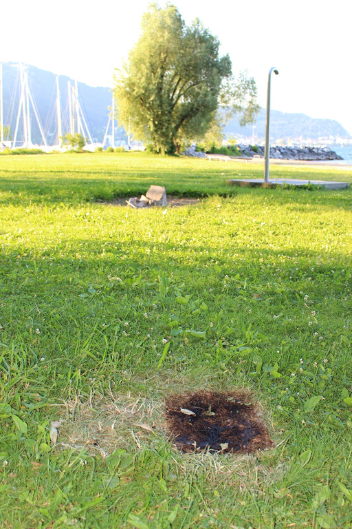 Abfall Schwarzbad Symbolfoto Mai 2017 _23_.JPG