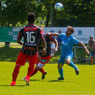 file6v4nvg7pm2o19y75vboe.jpg