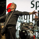 Gewista Plakatparty 2017 - Spider Murphy Gang.jpg