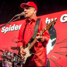 Gewista Plakatparty 2017 - Spider Murphy Gang-4.jpg