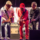 Gewista Plakatparty 2017 - Spider Murphy Gang-28.jpg