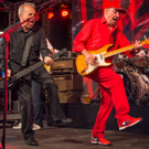 Gewista Plakatparty 2017 - Spider Murphy Gang-57.jpg