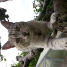 20150504_132720.jpg