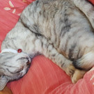 20170422_085742.jpg