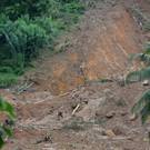 AFP_P34SI.jpg