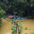 AFP_P224L.jpg